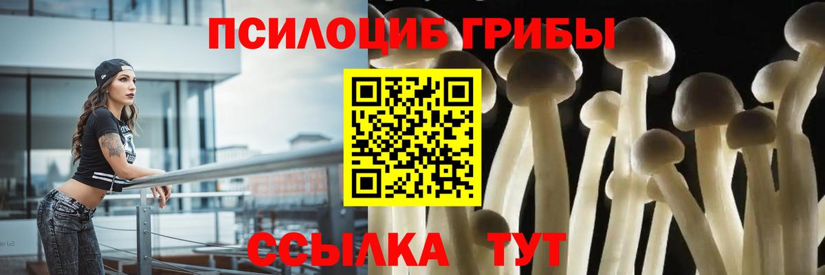 Галлюциногенные грибы Magic Shrooms Ржев